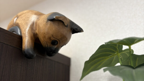 ホームページリニューアルのお知らせ